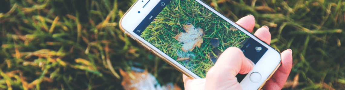 smartphone nature app